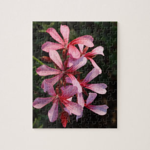 Fleurs roses 8x10 Photo Puzzle avec coffret cadeau