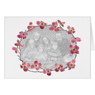 Fleurs roses de cornouiller