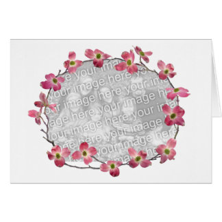 Fleurs roses de cornouiller