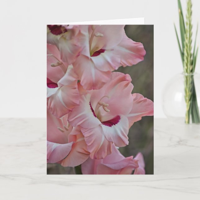Fleurs roses de Gladiolus Carte de notes d'art (Devant)