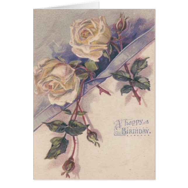 Fleurs Roses de Rose blanche (Devant)