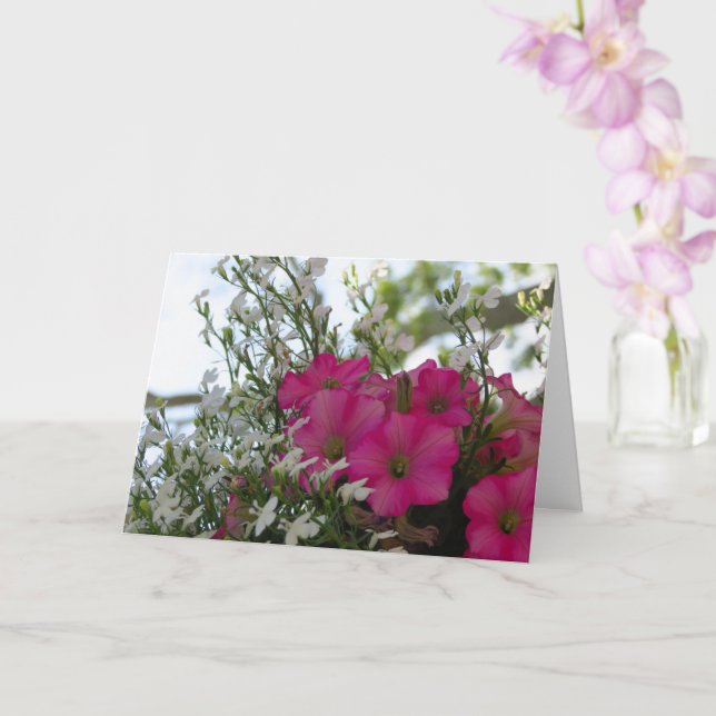 Fleurs roses et blanches - Carte Vineyard de Marth (Orchidée)
