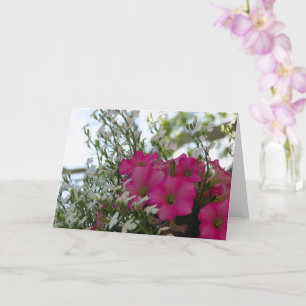 Fleurs roses et blanches - Carte Vineyard de Marth