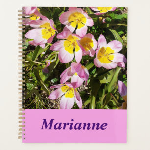 Fleurs roses et jaunes