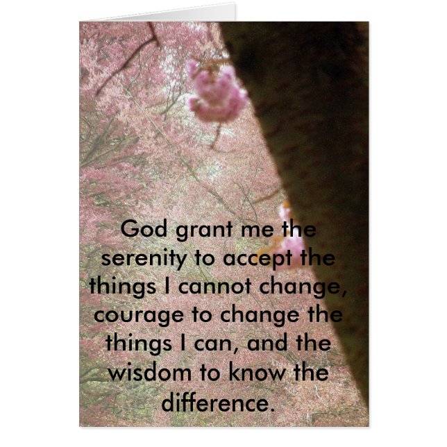 Fleurs Roses Et Verset Sérénité (Devant)