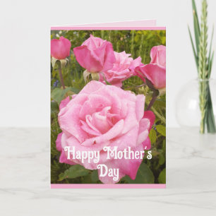 Fleurs roses Floral Rose Roses Carte de jour des m