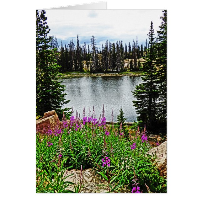 Fleurs roses profondes au bord du lac, vierges à l (Devant)
