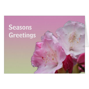 fleurs roses rhododendron Joyeuses Fêtes