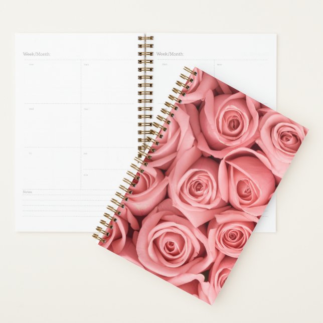 Fleurs | Roses roses (Devant avec enveloppe)