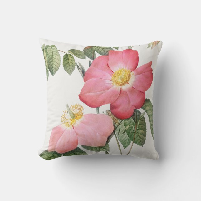 Fleurs roses roses Pierre Redoute Lance Oreiller (Recto)