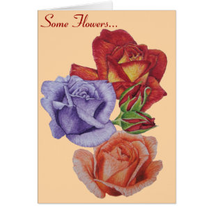 fleurs roses rouges et bourgeons roses fleurs flor