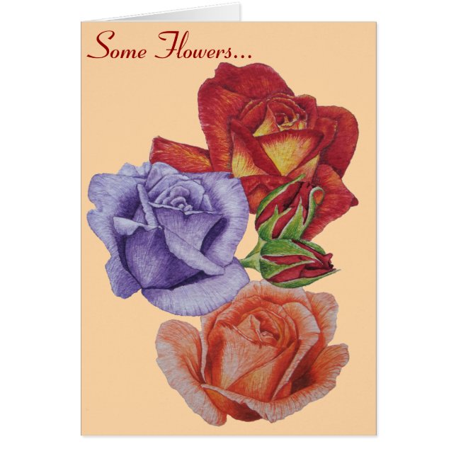 fleurs roses rouges et bourgeons roses fleurs flor (Devant)