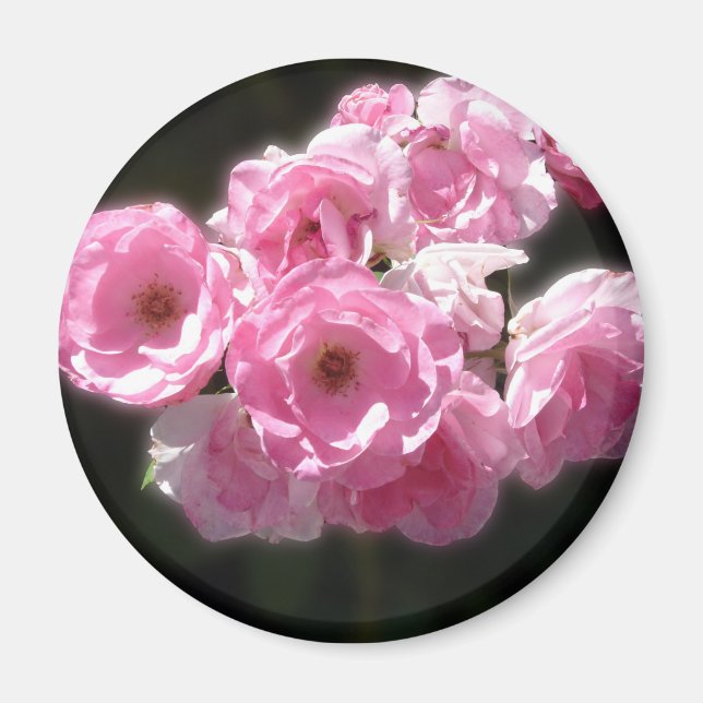 Fleurs roses Standard, Aimant rond De 2¼ Pouce (Devant)