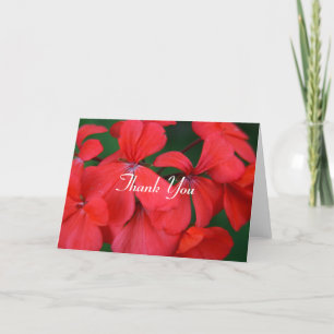 fleurs rouges merci