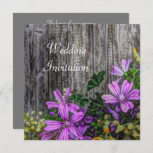 Fleurs rustiques De Pays Sur La Barne