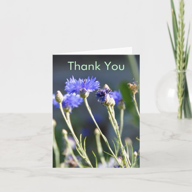 Fleurs sauvages 1, Merci (Devant)