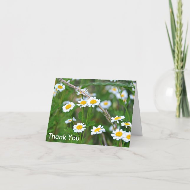 Fleurs sauvages avec des marguerites, Merci (Devant)