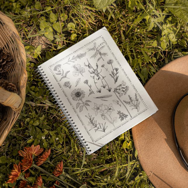 Fleurs sauvages botaniques Vintage Carnet floral (Créateur téléchargé)