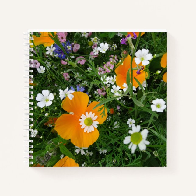 Fleurs sauvages : Carnet rose blanc orange (Devant)