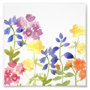 Fleurs sauvages colorées Aquarelle Photo Imprimer