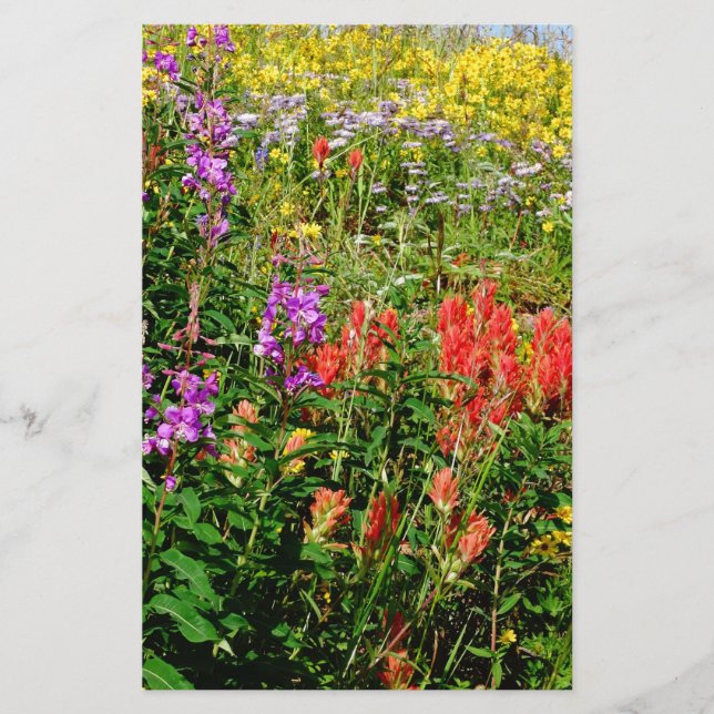 Fleurs sauvages des Rocheuses (Devant)