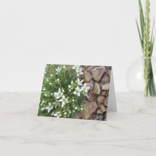 Fleurs sauvages et carte pour notes blancs