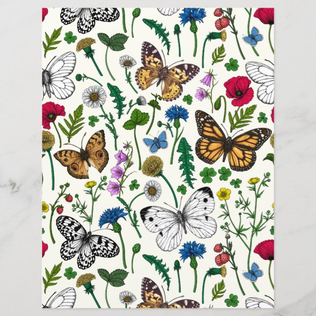 Fleurs sauvages et papillons sur blanc (Devant)