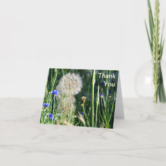 Fleurs sauvages et vesse-de-loup, Merci