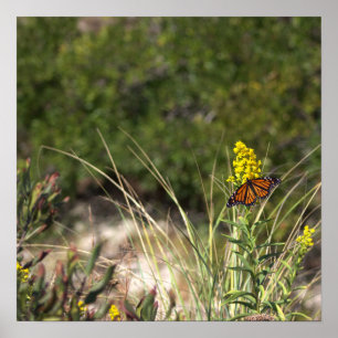 Fleurs sauvages jaunes avec affiche papillon