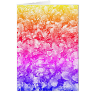 Fleurs sauvages multicolores