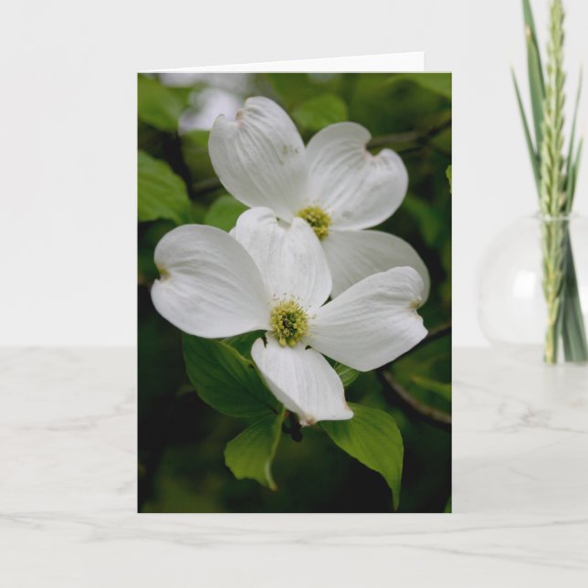 FLEURS SAUVAGES PA - Carte pour notes Dogwood (Devant)
