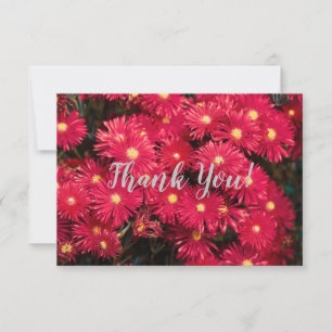 Fleurs sauvages rouge vifMerci Carte Plat