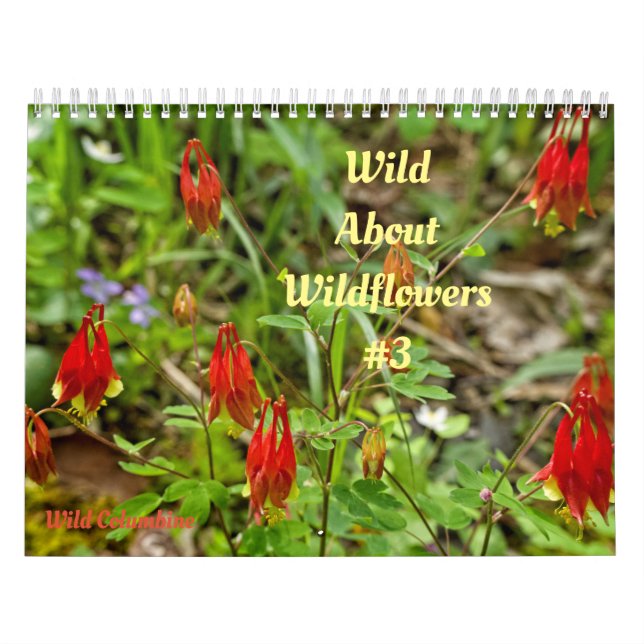 Fleurs sauvages Wild Abourt #3 Calendrier (Protection)