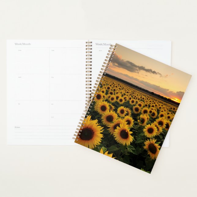 Fleurs | Terrain de tournesol (Devant avec enveloppe)