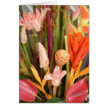 Fleurs tropicales - Carte blanche