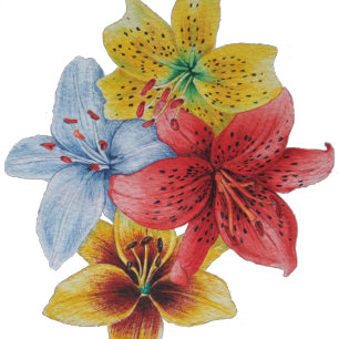 fleurs uniques grandes et audacieuses colorées flo