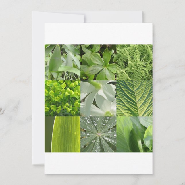 Fleurs vertes (Devant)