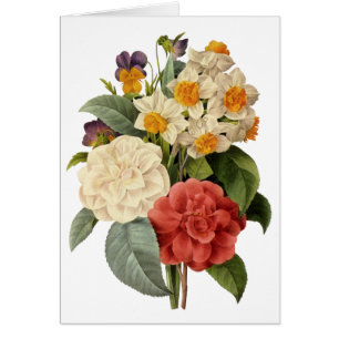 Fleurs vintages, Camellias et Narcisse, Redoute