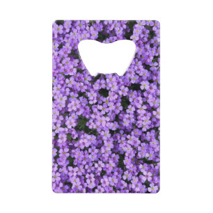 Fleurs violettes