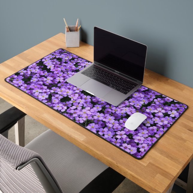 Fleurs violettes Belles Violettes (Bureau 2)