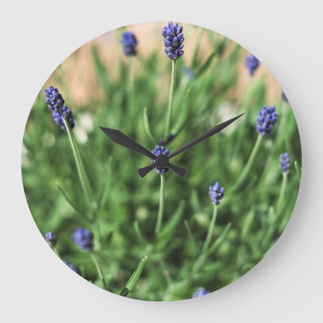 Fleurs violettes - horloge (Recto)