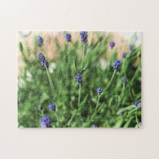 Fleurs violettes - puzzle