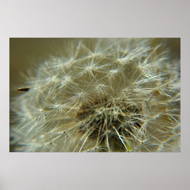 Flexibilité - Poster (Devant)