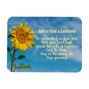 Flexible Advice from a Sunflower Design Magnet