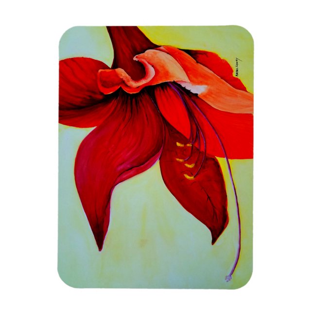 Flexible Amaryllis Magnet en fleurs (Vertical)