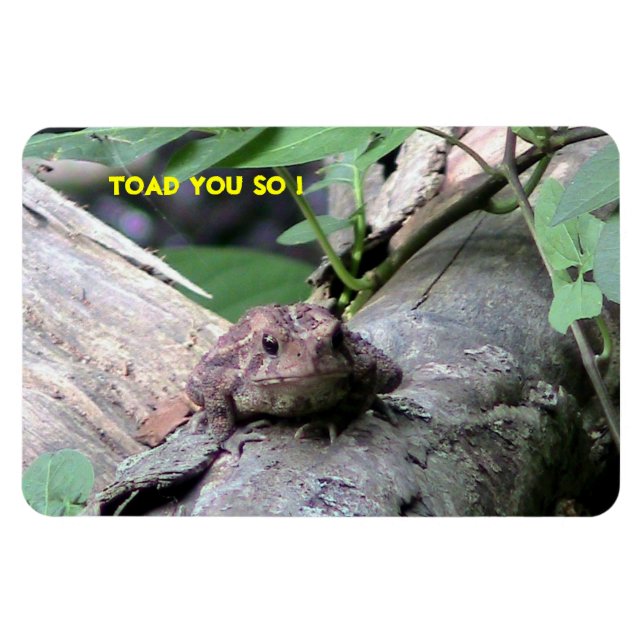 Flexible American Toad Premium Flexi Magnet (Horizontal)
