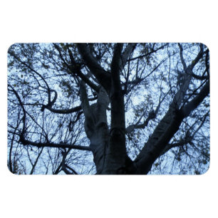 Flexible Arbre Silhouette Photo Magnet Premium
