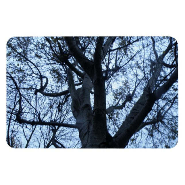 Flexible Arbre Silhouette Photo Magnet Premium (Horizontal)