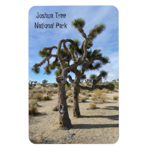 Flexible Beau Joshua Tree Premium Magnet !