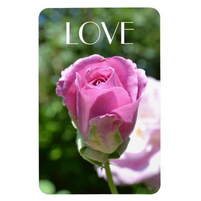 Flexible Beau Rose Bud Love Magnet (Vertical)
